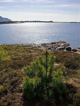 Aalesund Airport 3*
